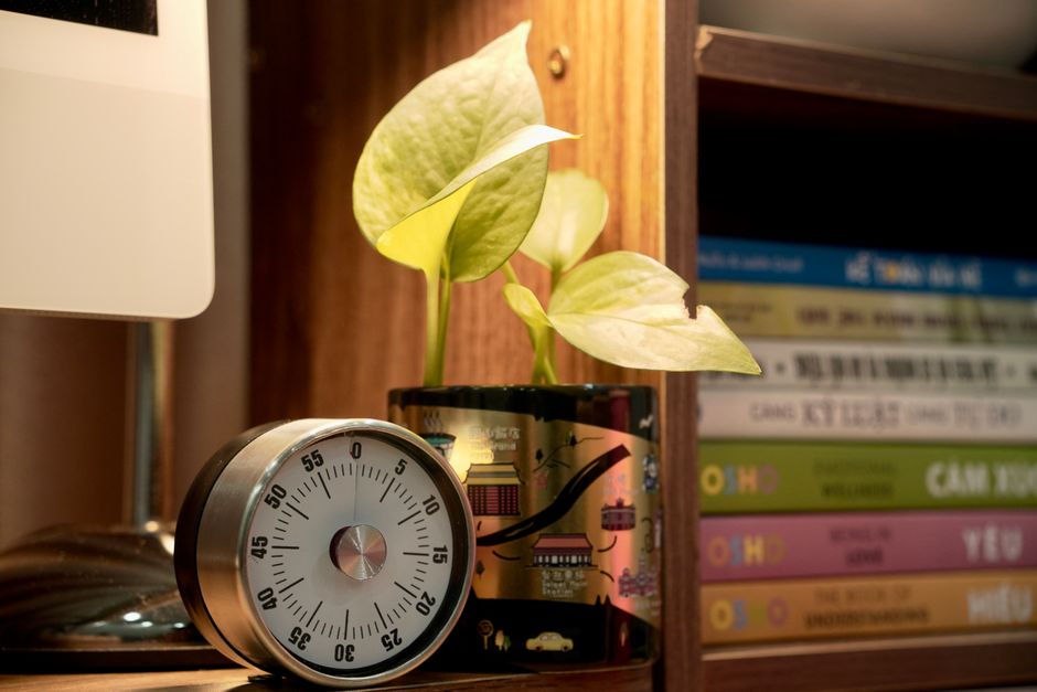 A small potted plant alongside a timer on a bookshelf, creating an inviting and organized study setting.